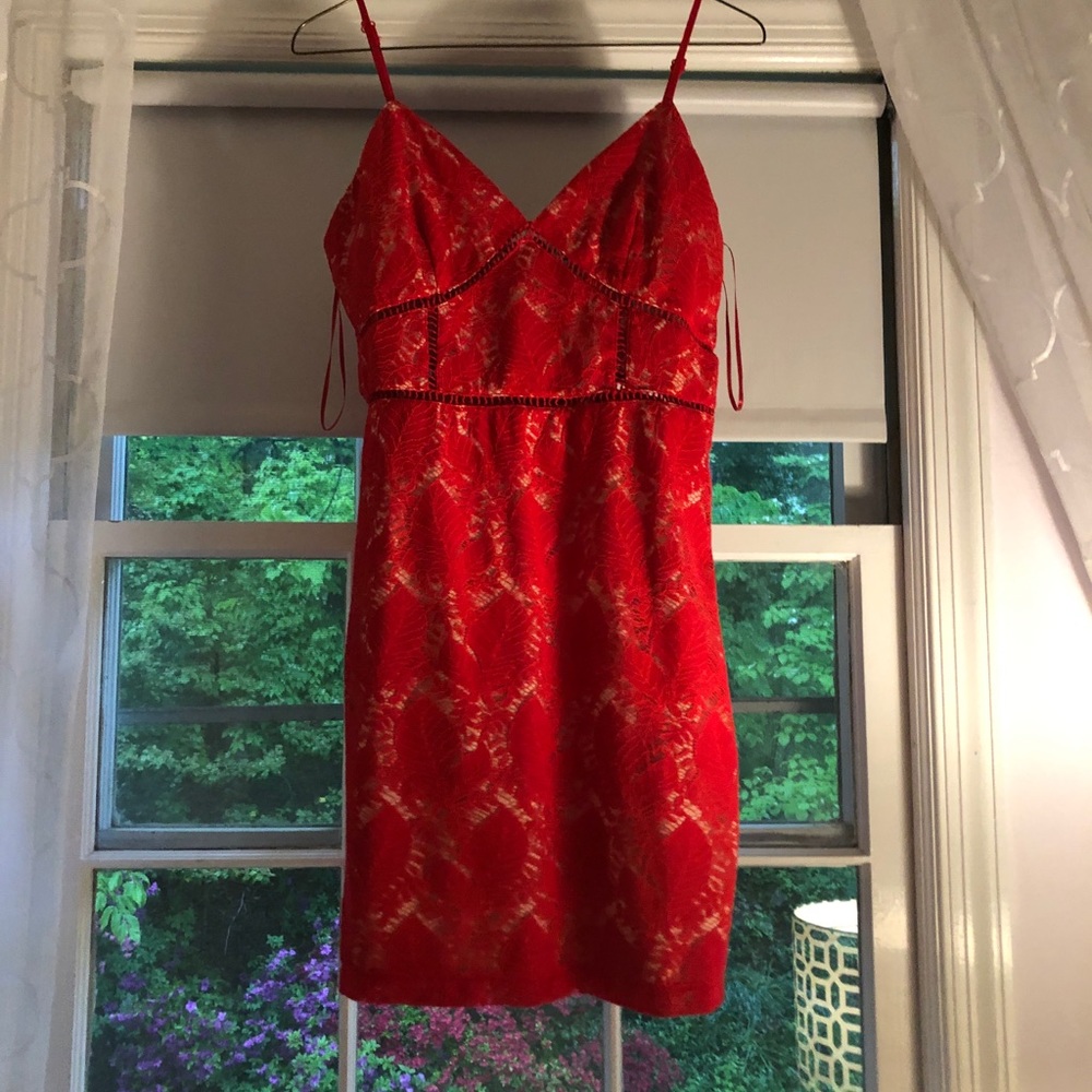NEW! Red lace Bodycon